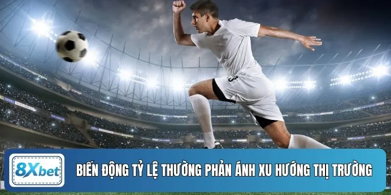Biến động tỷ lệ thường phản ánh xu hướng thị trường