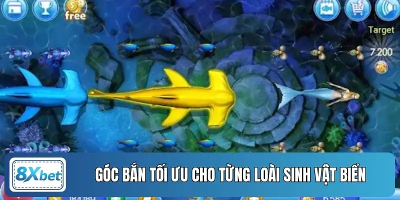 Góc bắn tối ưu cho từng loài sinh vật biển