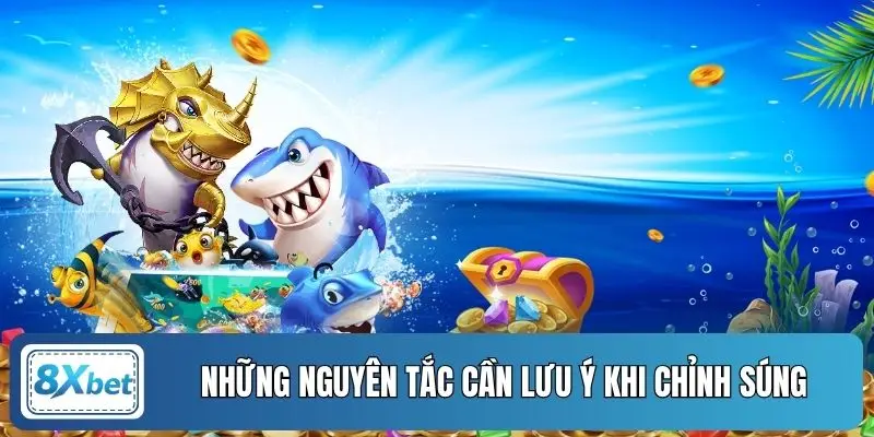 Những nguyên tắc cần lưu ý khi chỉnh súng